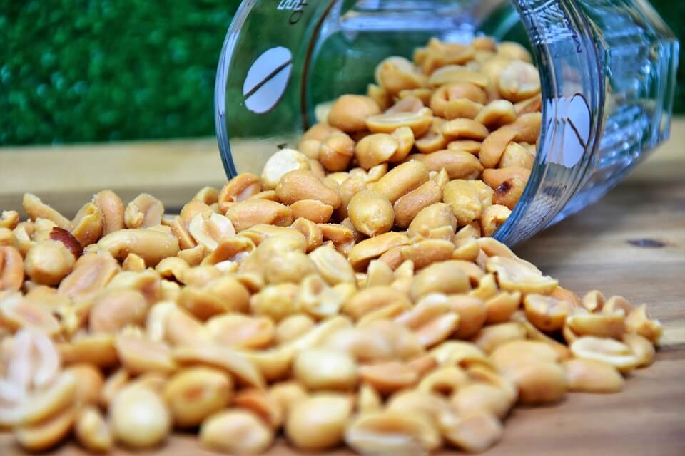 Mengenal Manfaat Kacang Koro
