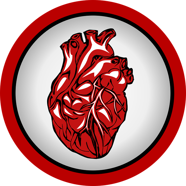 Kenali Masalah Jantung Berdebar dan Bagaimana Mencegahnya