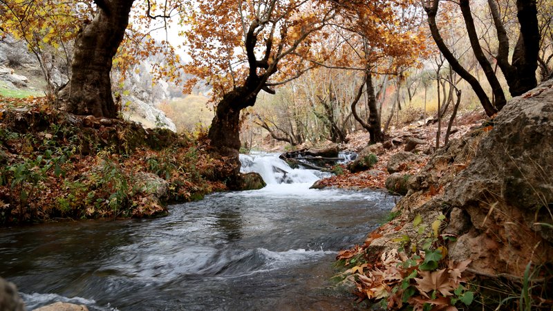 Wajib Tahu, Berikut 4 Ciri Sungai Penuh Buaya Muara